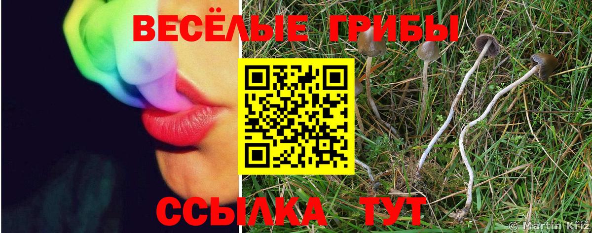 Псилоцибиновые грибы Psilocybe  Вход с VPN  Галлюциногенные грибы Psilocybine cubensis  Владимир 